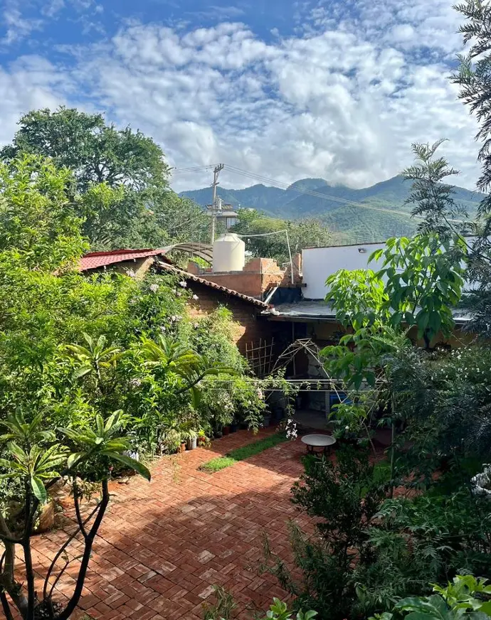 Jardín botánico en las montañas de Oaxaca